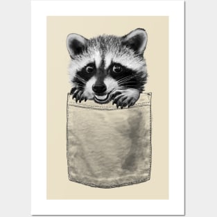 Raccoon in Pocket Posters and Art